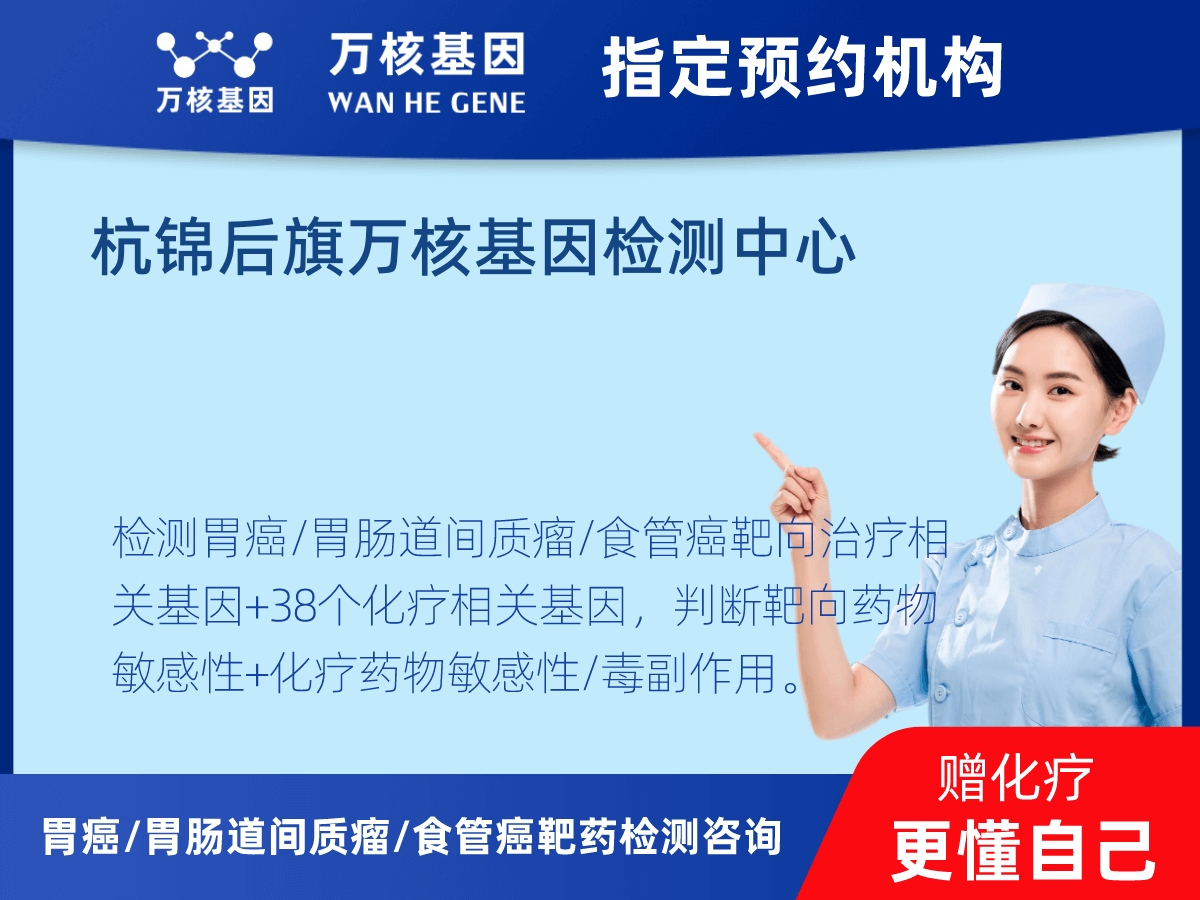 胃癌/胃腸道間質(zhì)瘤/食管癌靶藥25基因+PD-L1+MSI檢測
