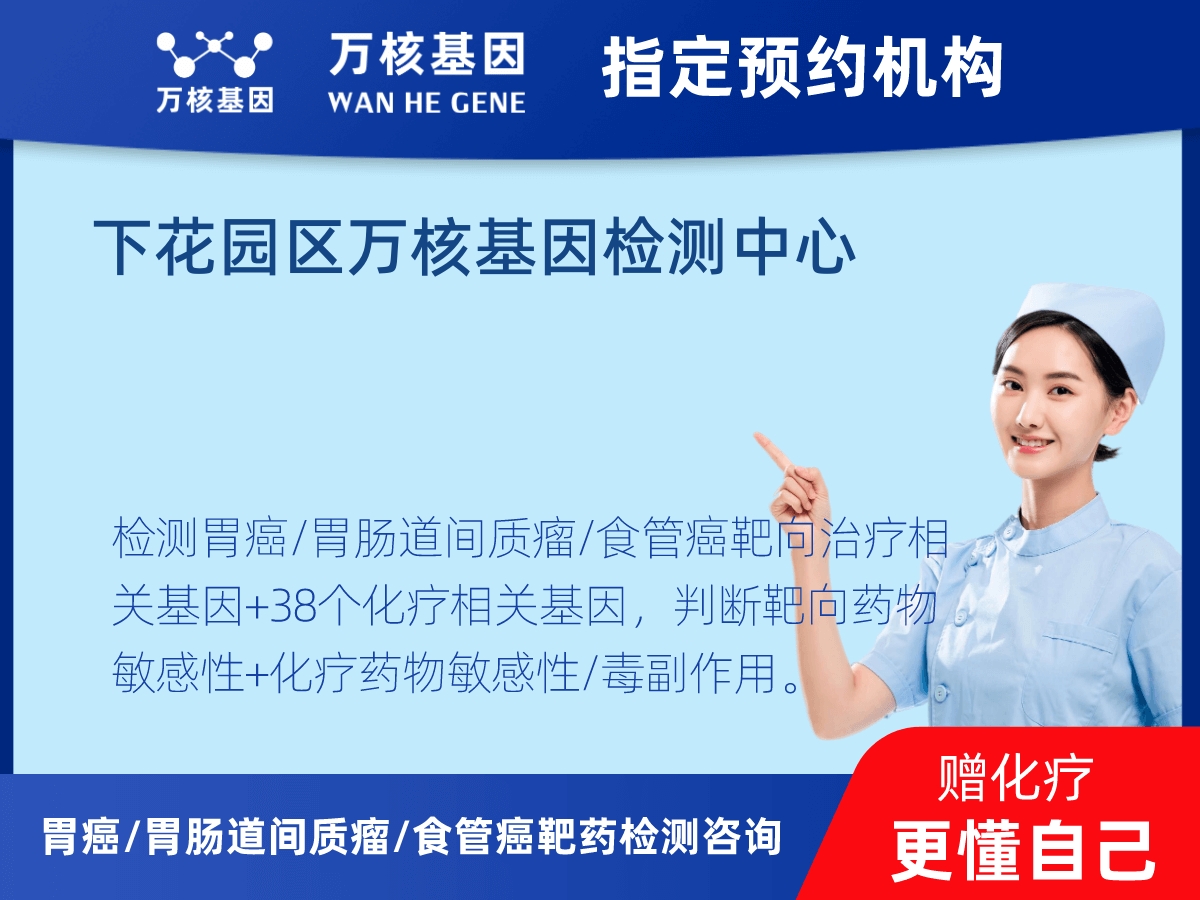 胃癌/胃腸道間質(zhì)瘤/食管癌靶藥25基因+PD-L1+MSI檢測 胃癌/胃腸道間質(zhì)瘤/食管癌靶藥25基因+PD-L1+MSI檢測