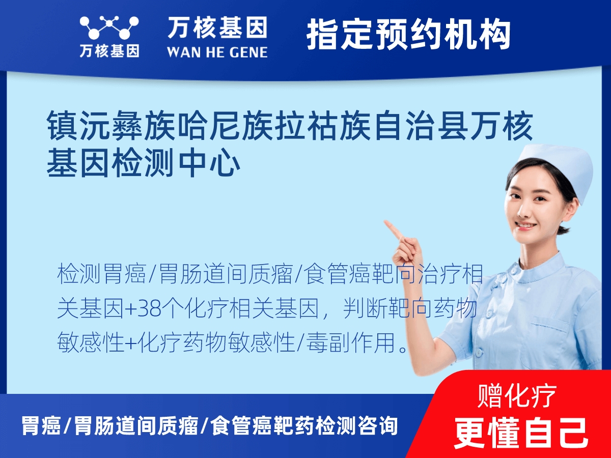 胃癌/胃腸道間質(zhì)瘤/食管癌靶藥51基因檢測 胃癌/胃腸道間質(zhì)瘤/食管癌靶藥51基因檢測