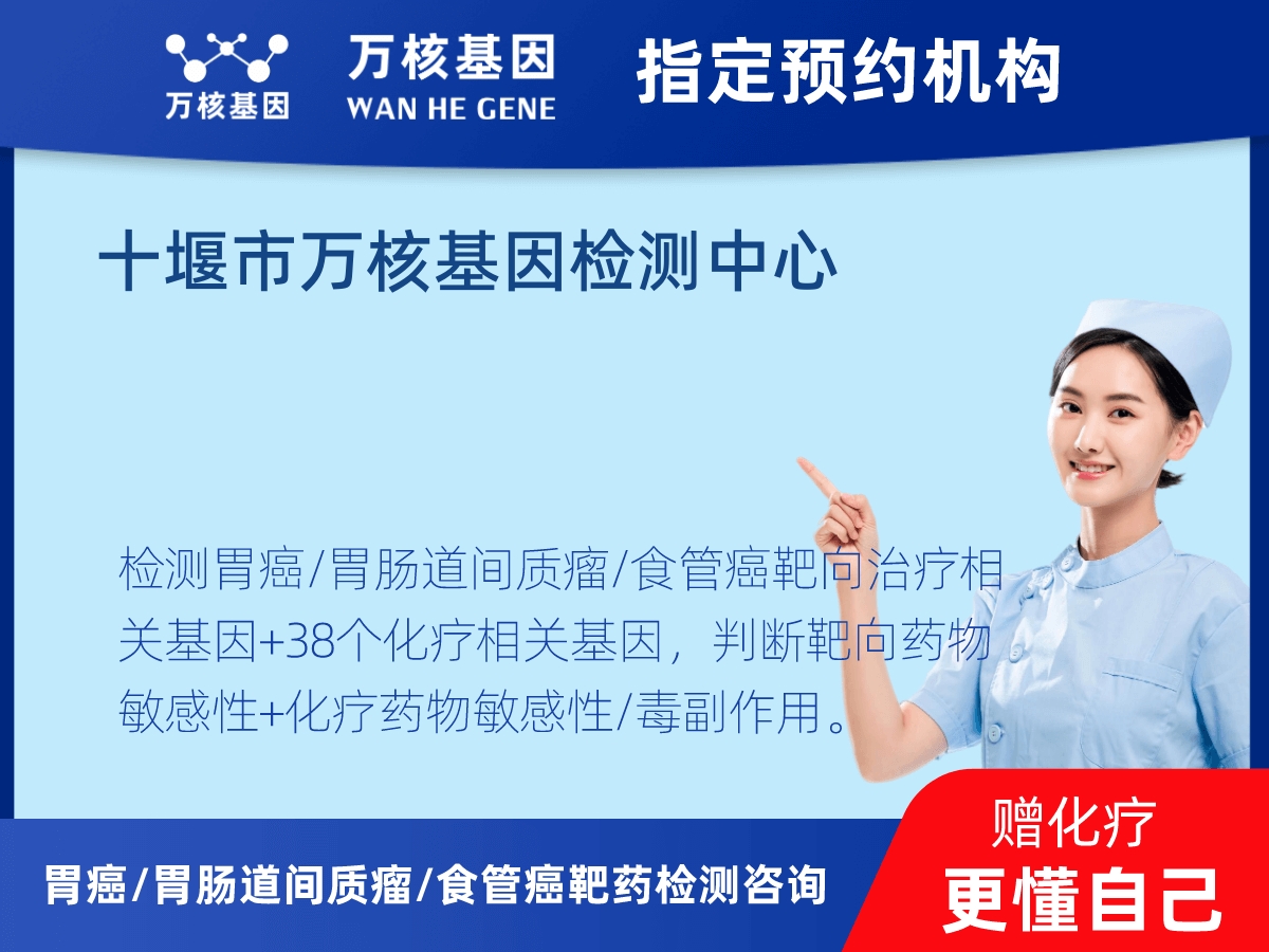 胃癌/胃腸道間質(zhì)瘤/食管癌靶藥25基因+PD-L1+MSI檢測