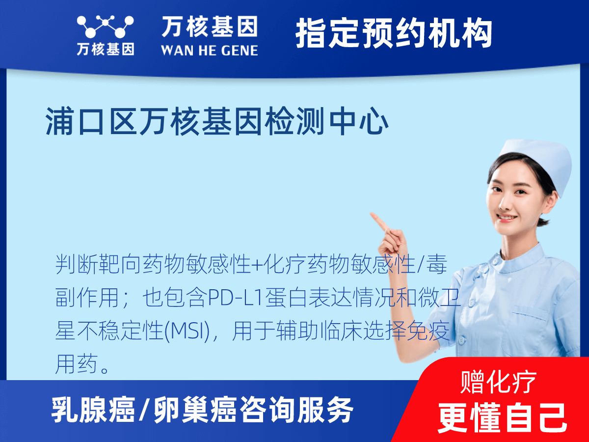 乳腺癌/卵巢癌靶51基因+MSI+PD-L1檢測 乳腺癌/卵巢癌靶51基因+MSI+PD-L1檢測