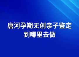 唐河孕期無(wú)創(chuàng)親子鑒定機(jī)構(gòu)網(wǎng)點(diǎn)地址